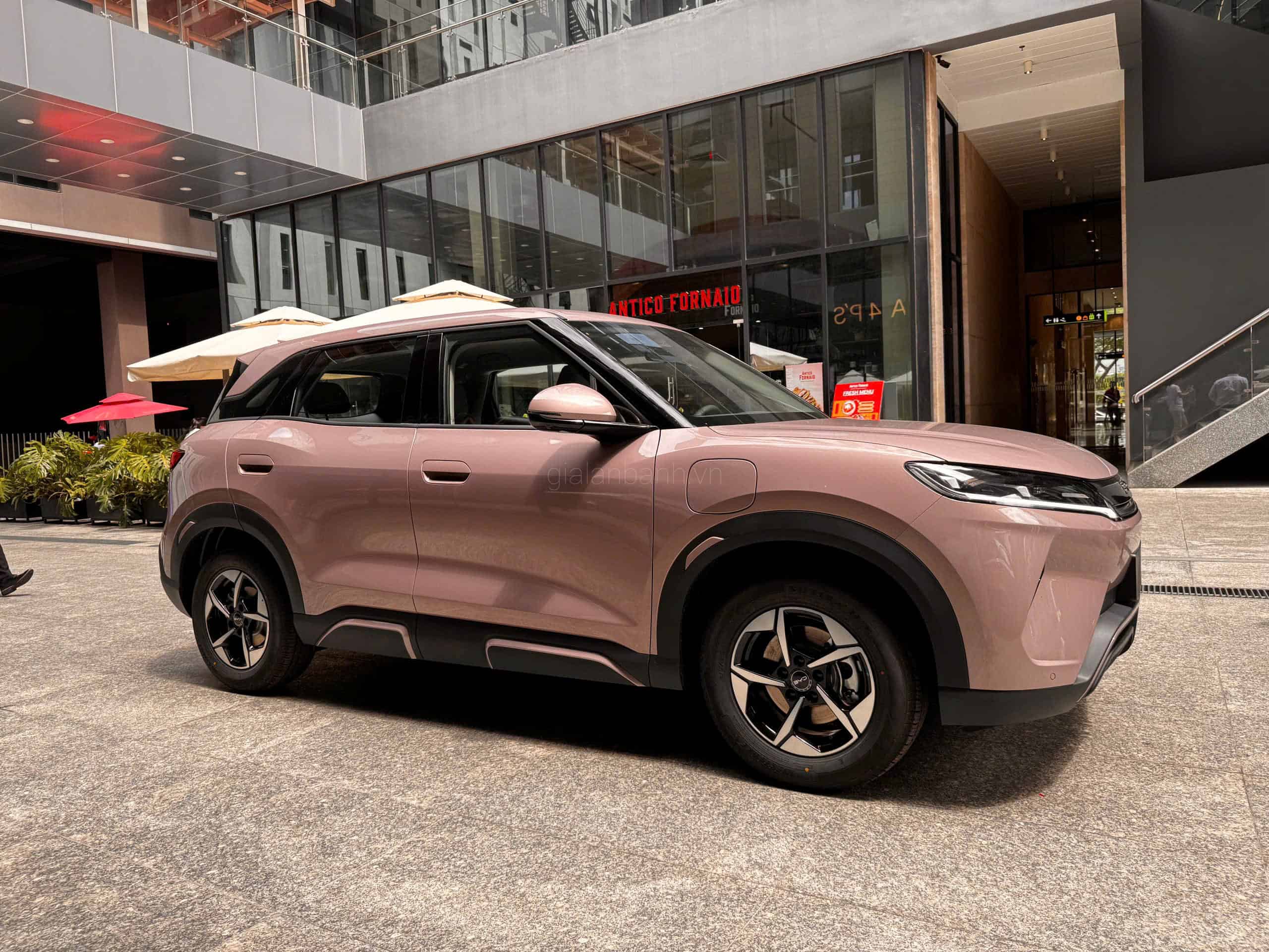 Mặt bên byd atto 2